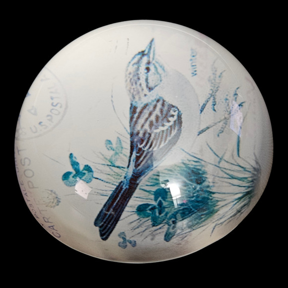 Vintage Glass Paperweight Winter Bird Illustration USPS Postcard Theme - Picture 2 of 6